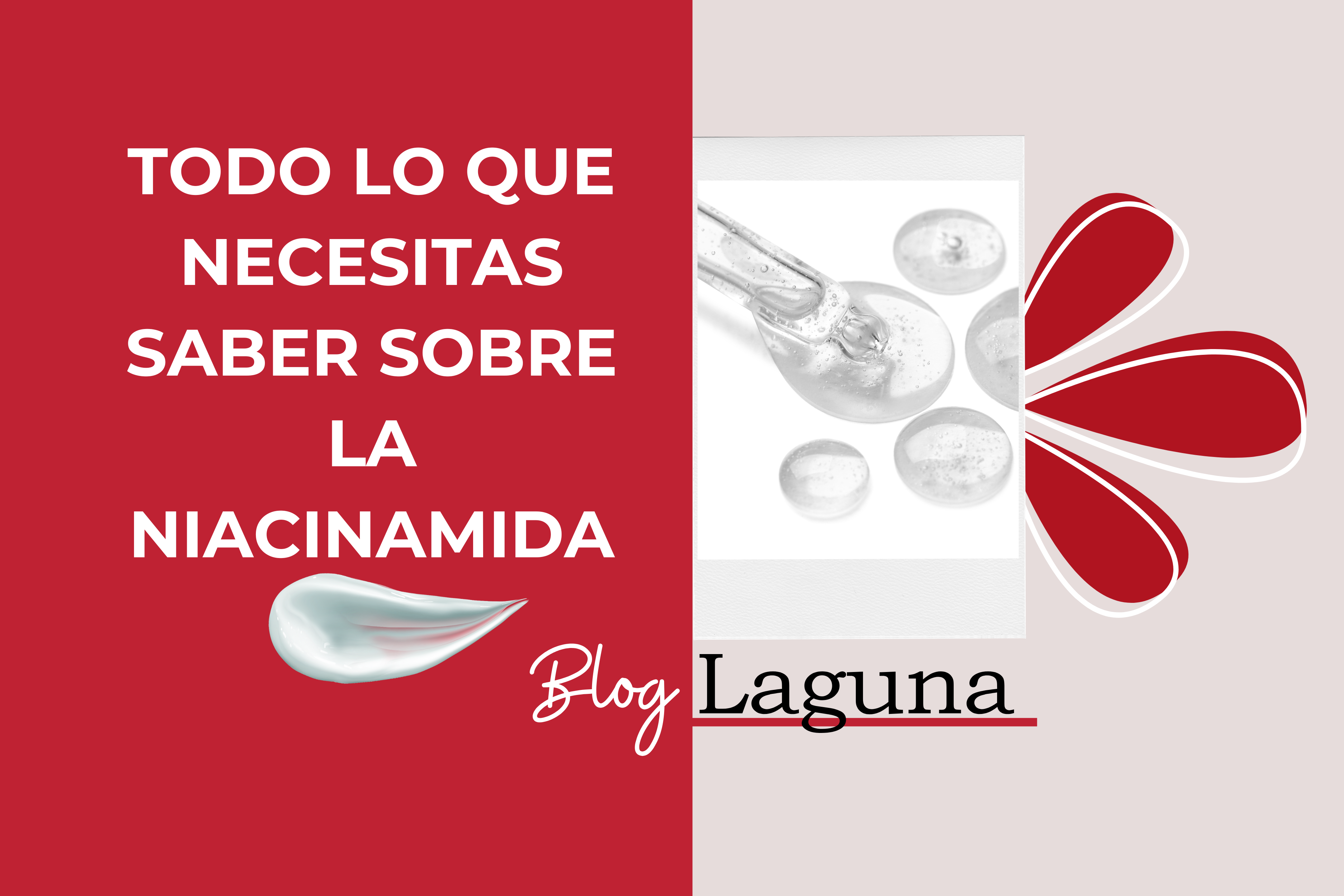 Todo lo que necesitas saber sobre la Niacinamida