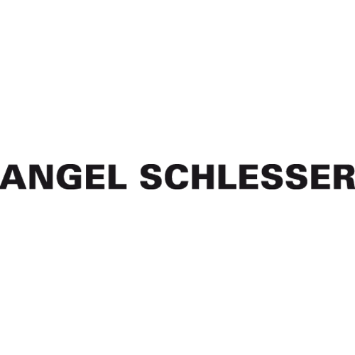 Logo Angel Schlesser
