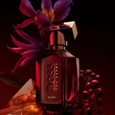 Nuevo Boss The Scent