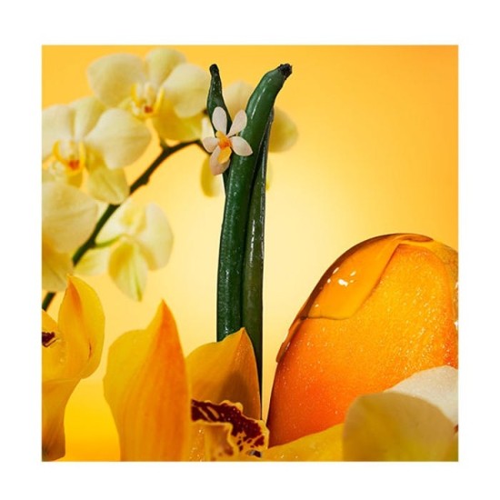 Euphoria Solar Elixir 30ml 3