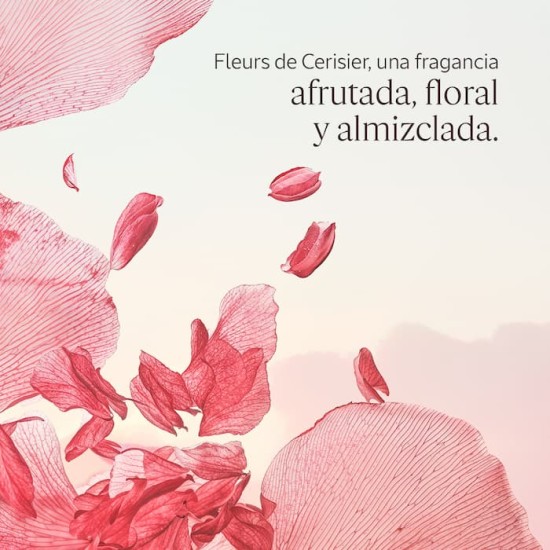 L\'Occitane Fleurs de Cerisier Body Set 2