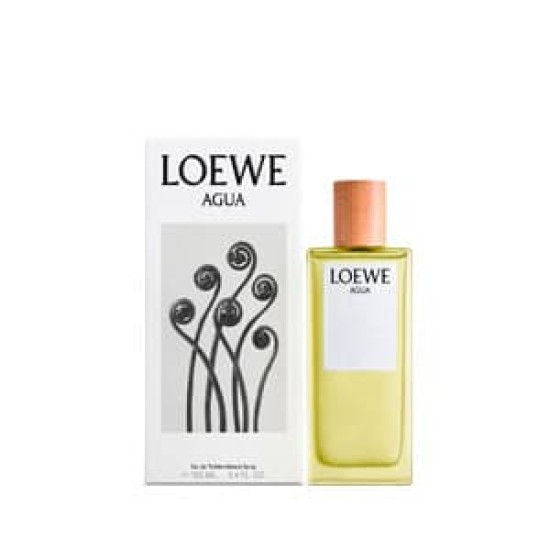 Loewe Agua 100Ml 1