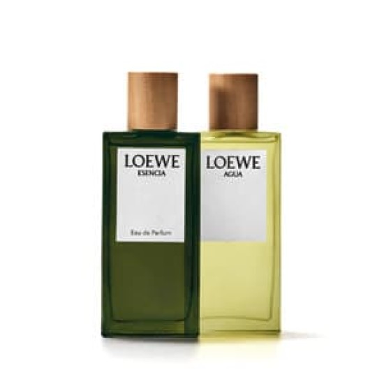 Loewe Agua 100Ml 3