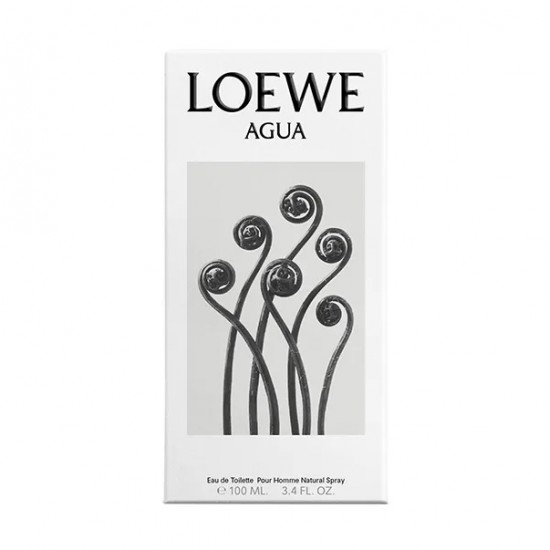 Loewe Agua 50Ml 2