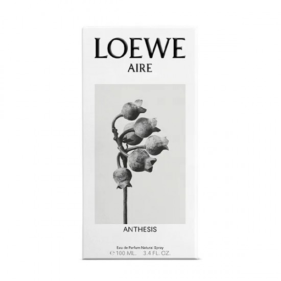 Loewe Aire Anthesis 100ml 2