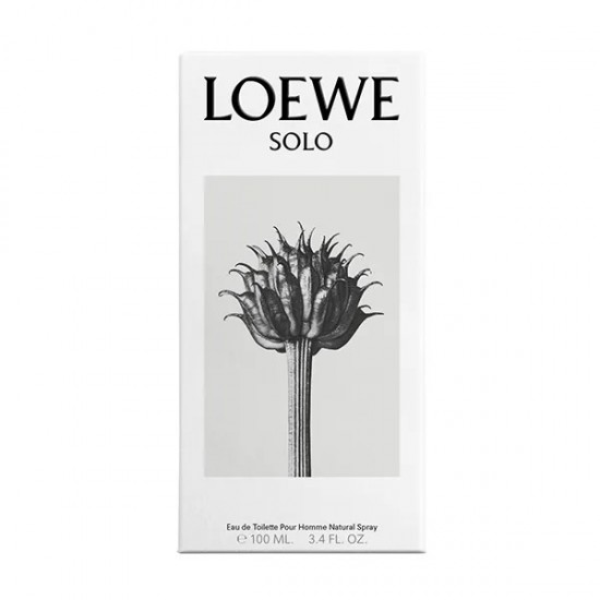 Loewe Solo Eau De Toilette 100Ml 2