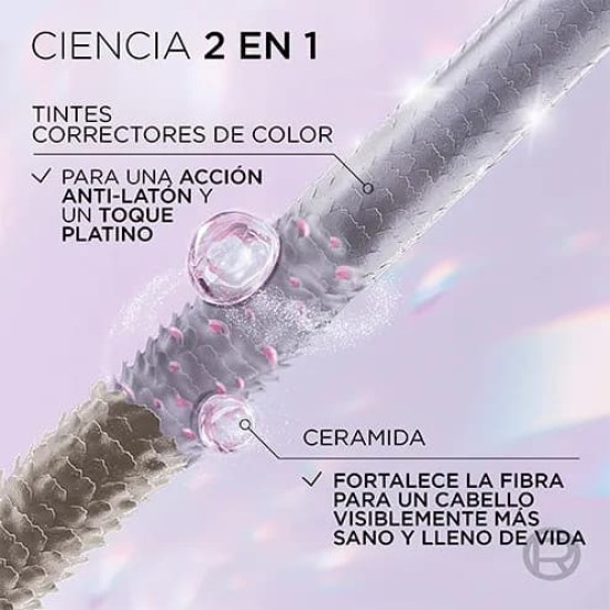 L\'Oreal Cool Silver 3