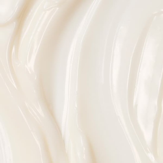 Sensai Absolute Silk Illuminative Cream 40Ml 8