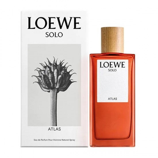Loewe Solo Atlas 100Ml 1