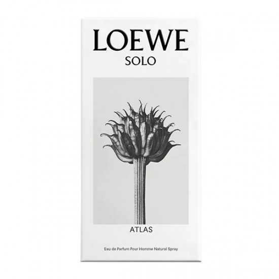 Loewe Solo Atlas 50Ml 2