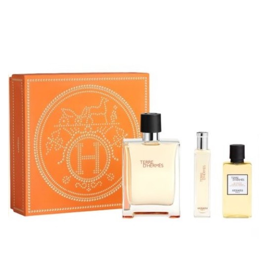 Hermes Terre Edt Lote 100 Vaporizador 0