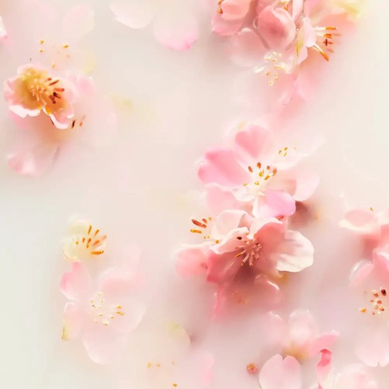 The Ritual Sakura Whipped Body Cream 220ml 2