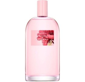 Aguas de Victorio & Lucchino Nº1 Rosa 150Ml - Aguas de Victorio & Lucchino Nº1 Rosa 150Ml