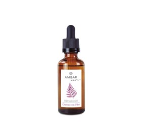 Ambientador Ambar Zen Esencia Cerezo en Flor 50ml - Ambientador Ambar Zen Esencia Cerezo en Flor 50ml