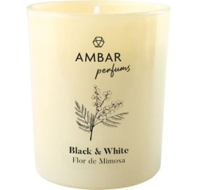Ambientador Vela Black & White Flor de Mimosa 125G - Ambientador Vela Black & White Flor de Mimosa 125G