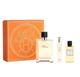 Hermes Terre Edt Lote 100 Vaporizador - Hermes Terre Edt Lote 100 Vaporizador