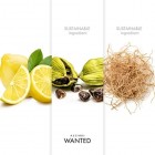 Azzaro Wanted Edt 100 Vaporizador 3