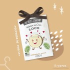 Ambientador Armarios The Fruit Company Coco 1