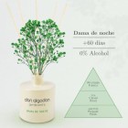 Ambientador Don Algodón Mikado Dama de Noche 55 Ml 1