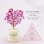 Ambientador Don Algodón Mikado Cerezo en Flor 55 Ml 1