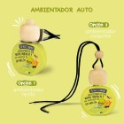 Ambientador Fruit Coche Melon 5 ml 1