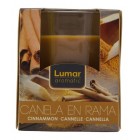 Ambientador Vela Aromatium Canela En Rama