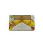 Ambientador Vela Aromatium Cóctel Tropical 2 uds