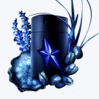 A*Men Stellar 100ml 4
