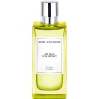 Angel Schlesser Les Eaux D'Un Instant Ginger Cologne 150ml 0