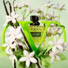 Valentino Born In Roma Donna Green Stravaganza 100ml 2