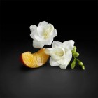 Boss The Scent For Her Edp 100 Vaporizador 3