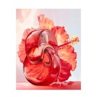 Bvlgari Omnia Coral Edt 100ml 4