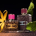 CH Wild Love 100ml 2