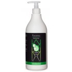 Champú Kerantea Anti-Grasa Con Tixolona 750Ml