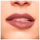 Clarins Joli Rouge Velvet 795V CHESTNUT 2