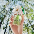 Daisy Wild 50ml 4