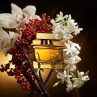 The One Intense 30ml 2