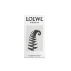 Loewe Esencia Eau De Toilette 100Ml 1