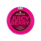 Essence Labial Juicy Berry  Tinted Lip & Cheek Balm