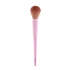Essence Brocha Blush 1