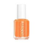 ESSIE Nail Color 993 Be Them All 2