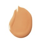 Estee Lauder Futurist Hydra Rescue 4W1 Honey Bronze 1
