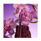 Euphoria Bold Elixir 30ml 4