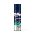 Gel Gillette P/Sensible 200Ml