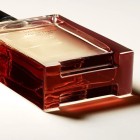 Hermes Terre Eau De Parfum Intense 100ml 3