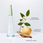 L’Eau d’Issey Eau Essentielle 100ml 1