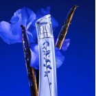 Flower By Kenzo Ikebana Indigo 75ml 2