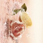 Idôle Eau de Toilette 25ml 4