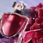 La Vie Est Belle Elixir 50ml 1