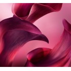 La Vie Est Belle L’Elixir Very Cherry 30ml 3